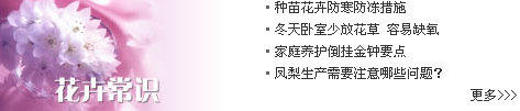 [2009特色評(píng)選] 中華人民共和國(guó)農(nóng)業(yè)部網(wǎng)站榮獲“用戶滿意獎(jiǎng)”