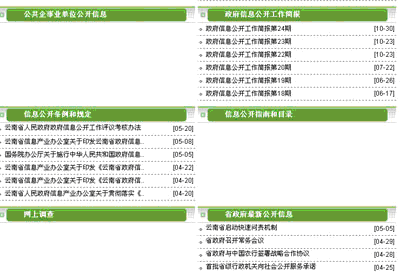 云南政府信息公開網站“唱雙簧” 疑似遭遇山寨版