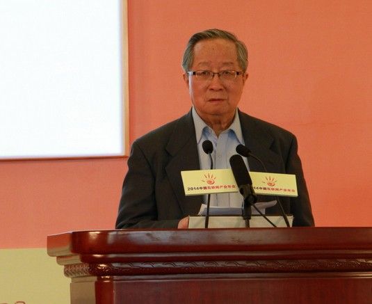 中國互聯(lián)網(wǎng)協(xié)會副理事長高新民