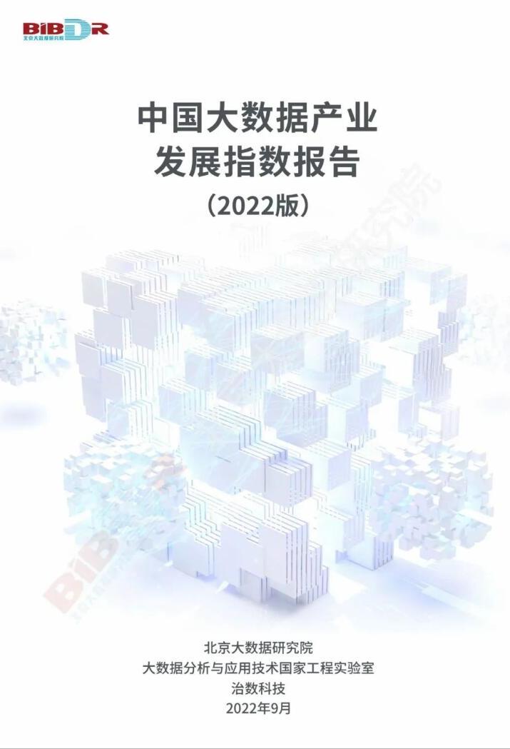 中國(guó)大數(shù)據(jù)產(chǎn)業(yè)發(fā)展指數(shù)報(bào)告（2022年）