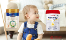 瑞典森寶和皇家美素佳兒如何選，一分鐘帶你了解