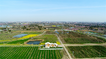 賦能產(chǎn)業(yè)振興，東方田園農(nóng)業(yè)發(fā)展有限公司全面推進(jìn)運(yùn)營業(yè)務(wù)