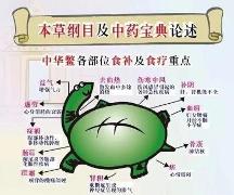 立體工廠化甲魚養(yǎng)殖就是你的機(jī)會