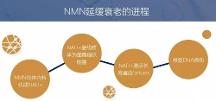 為什么NMN值得相信？ 看看赫曼因NMN的亮點(diǎn)