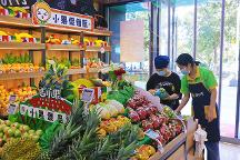 金三銀四開水果店正當(dāng)時，吉小果期待合作共贏
