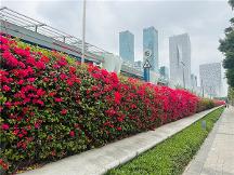 “春暖花開 只等你來”第 一屆深圳國際復(fù)材展將于3月23日開幕