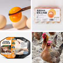 好雞好蛋齊相伴！錢大媽上市清遠雞，無抗蛋，你愛了嗎？