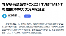 禮多多盲盒獲FOXZZ INVESTMENT領投8000萬美元A輪融資