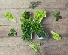 探索vitamin k1：人體健康不可或缺的重要營養(yǎng)素