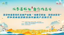 濃香菜籽油，邀您游高安，4月26-29日,不見不散！