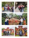 天天傳奇 “ 巴馬探秘 ” 之旅圓滿成功！
