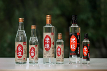 春糖頂流 高燃收官 | 能賦·米燒征程不止，勇毅前行耀未來(lái)！