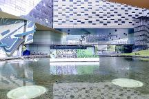 王石創(chuàng)立“生物圈三號(hào)”發(fā)起“雙碳同行者大會(huì)”，綠色家居企業(yè)參與其中