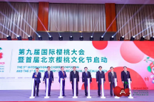 北京、澄城兩地同時(shí)點(diǎn)亮櫻桃行業(yè)的“奧運(yùn)會(huì)”！