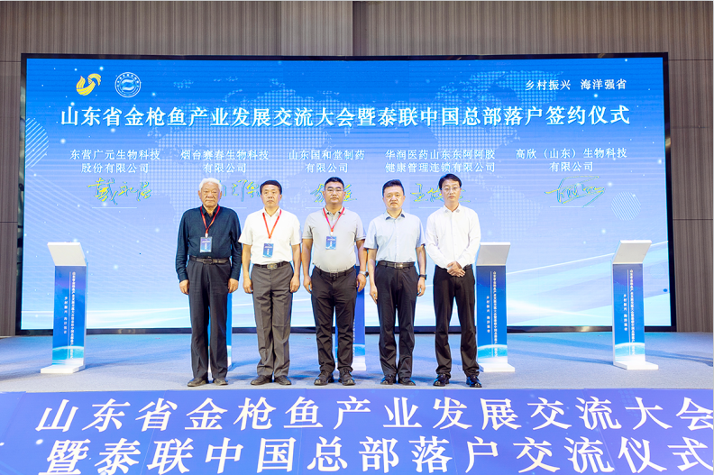 https://img2.danews.cc/upload/ajax/20230608/58352be2aee9c03d2c725d8f0fd177da.png