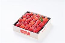 糖啵虎——甜品界一顆璀璨的明珠，成功吸引了很多投 資人的注意！