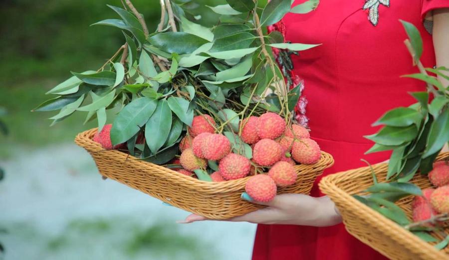 f6022d6bd183f95cd819038209716b2