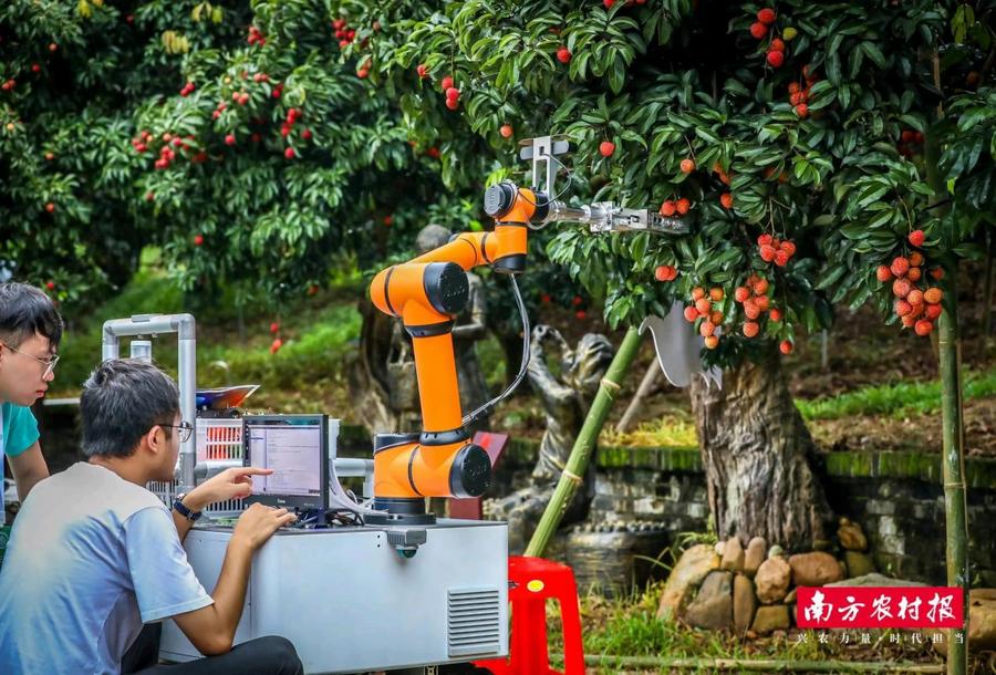 83d775b3d0684cfb96ca7a81c5bad42