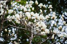 花香共富路，鄉(xiāng)村煥新顏，幫忙APP培養(yǎng)新農(nóng)村勞動力