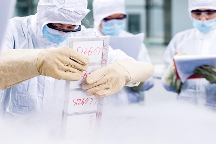 全力驅(qū)動干細(xì)胞產(chǎn)業(yè)發(fā)展 中源協(xié)和干細(xì)胞臨床備案成果累累