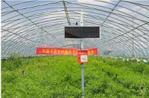 馬明哲：深化戰(zhàn)略，修煉內(nèi)功，收獲新時期的高質(zhì)量發(fā)展