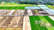 濰柴雷沃年度特別企劃 紀(jì)錄片《農(nóng)機改變中國》上線
