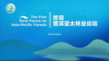 中林國(guó)控應(yīng)邀首屆普洱亞太林業(yè)論壇，推動(dòng)“大森林 + 大醫(yī)藥”助力綠色經(jīng)濟(jì)崛起
