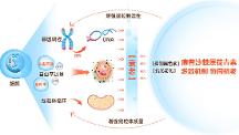大自然賜予的天然抗氧化因子——康普沙棘OPC原花青素 輕松逆齡