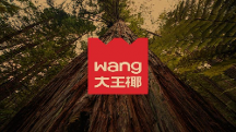 大王椰LOGO煥新背后，如何打造年輕人的品牌！