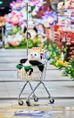 前方萌炸預(yù)警｜誰家超市100多只“熊貓”